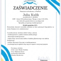 Powiększ obraz: certificate 5