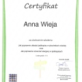 Powiększ obraz: certificate 5