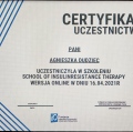Powiększ obraz: certificate 4