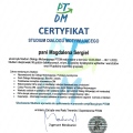 Powiększ obraz: certificate 3