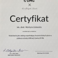 Powiększ obraz: certificate 4