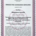 Powiększ obraz: certificate 5