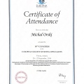 Powiększ obraz: certificate 13