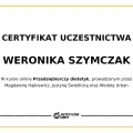 Powiększ obraz: certificate 11