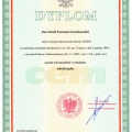 Powiększ obraz: certificate 1