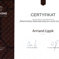 Powiększ obraz: certificate 3