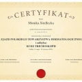 Powiększ obraz: certificate 39