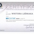 Powiększ obraz: certificate 9