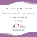 Powiększ obraz: certificate 8