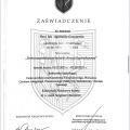 Powiększ obraz: certificate 11