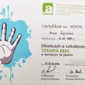 Powiększ obraz: certificate 9