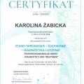 Powiększ obraz: certificate 11