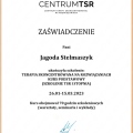 Powiększ obraz: certificate 2