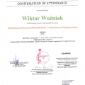 Powiększ obraz: certificate 9