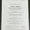 Powiększ obraz: certificate 6