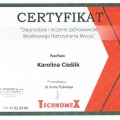 Powiększ obraz: certificate 26