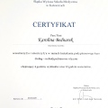 Powiększ obraz: certificate 15