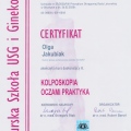 Powiększ obraz: certificate 8