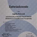 Powiększ obraz: certificate 5