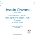 Powiększ obraz: certificate 5