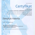 Powiększ obraz: certificate 2