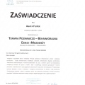 Powiększ obraz: certificate 5