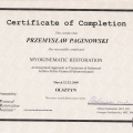 Powiększ obraz: certificate 13