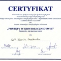 Powiększ obraz: certificate 10
