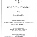 Powiększ obraz: certificate 4