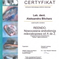 Powiększ obraz: certificate 2