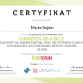 Powiększ obraz: certificate 2