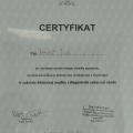 Powiększ obraz: certificate 8
