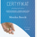 Powiększ obraz: certificate 7
