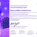Powiększ obraz: certificate 1