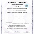 Powiększ obraz: certificate 2