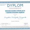 Powiększ obraz: certificate 8