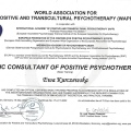 Powiększ obraz: certificate 7