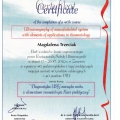 Powiększ obraz: certificate 9