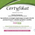 Powiększ obraz: certificate 28