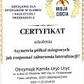 Powiększ obraz: certificate 3