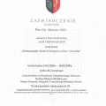 Powiększ obraz: certificate 3