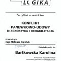Powiększ obraz: certificate 8