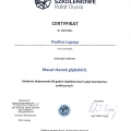 Powiększ obraz: certificate 4