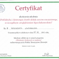 Powiększ obraz: certificate 17
