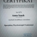 Powiększ obraz: certificate 1
