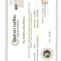 Powiększ obraz: certificate 1
