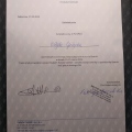 Powiększ obraz: certificate 4
