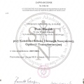 Powiększ obraz: certificate 9