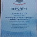 Powiększ obraz: certificate 5
