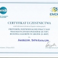 Powiększ obraz: certificate 9